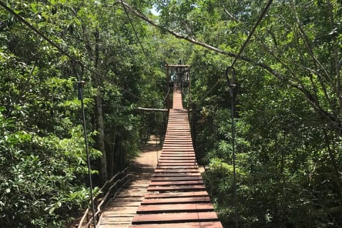 Horseback riding and ATV in the jungle, Ziplines, Cenote & Lunch — photo 8
