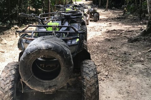 Horseback riding and ATV in the jungle, Ziplines, Cenote & Lunch — photo 14