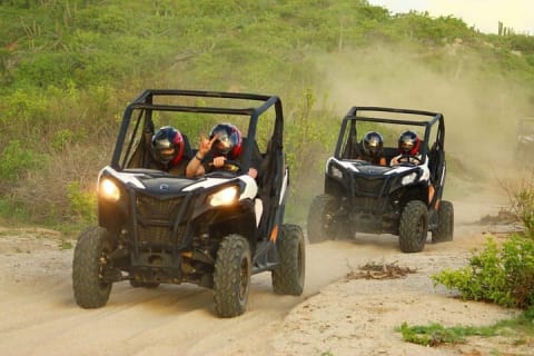 Expérience en UTV Viper Trail en petit groupe à Cabo San Lucas — photo 1