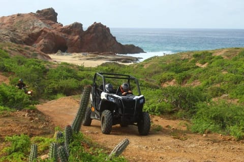 Expérience en UTV Viper Trail en petit groupe à Cabo San Lucas — photo 3