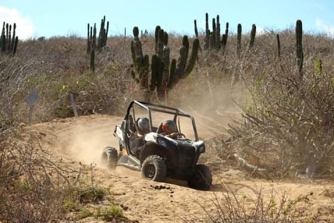 Expérience en UTV Viper Trail en petit groupe à Cabo San Lucas — photo 4