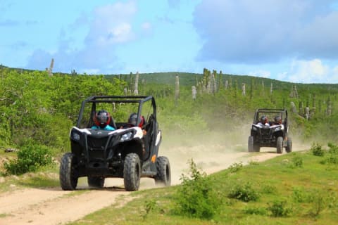 Expérience en UTV Viper Trail en petit groupe à Cabo San Lucas — photo 5