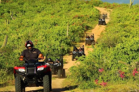 Expérience en UTV Viper Trail en petit groupe à Cabo San Lucas — photo 6