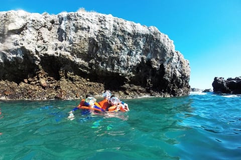 Marietas Islands Snorkeling & Hidden Beach Experience — photo 12