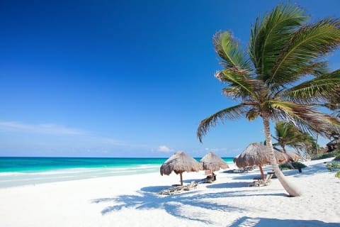 ATV´s adventure, swim in Cenotes & visit to Tulum Site — photo 14