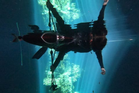 Freediving Discovery day in Tulum! — photo 2