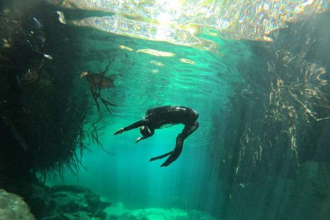 Freediving Discovery day in Tulum! — photo 3
