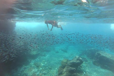 Marietas Islands Eco Discovery Snorkeling Adventure — photo 3