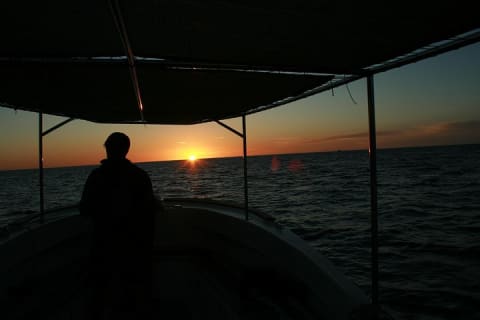 Observation des baleines en groupe à San José del Cabo — photo 11