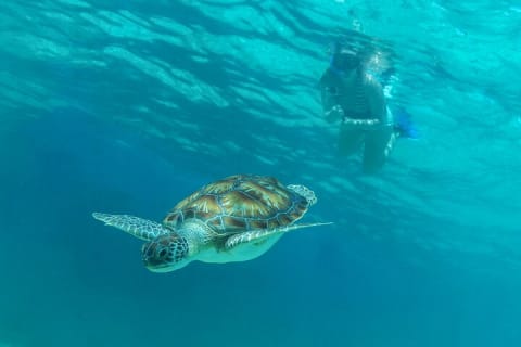 Half-Day Luxury Sailing Experience in Tulum with Open Bar — photo 6