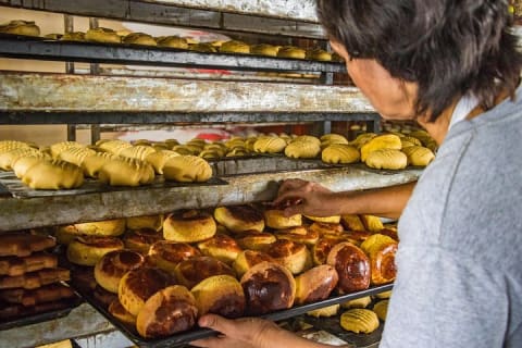 Visite tacos, culture et vie locale à Puerto Vallarta — photo 11