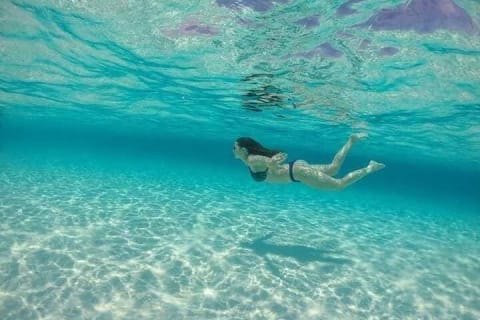 Amazing Snorkel at Cozumel Reef! Round Transportation from Tulum — photo 10