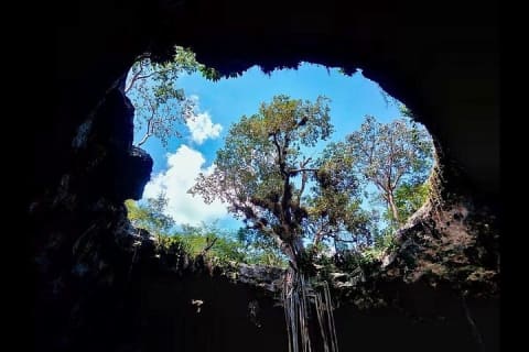 Santa Barbara Cenotes 1 Day Tour — photo 6