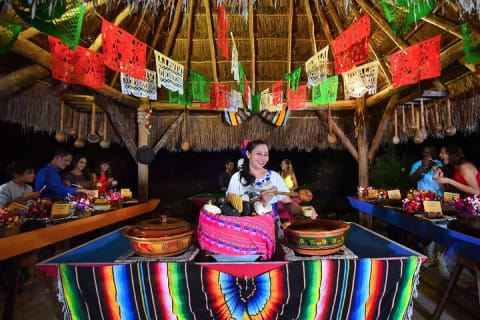 Xoximilco Night Cruise With Round Transportation from Tulum City — photo 11