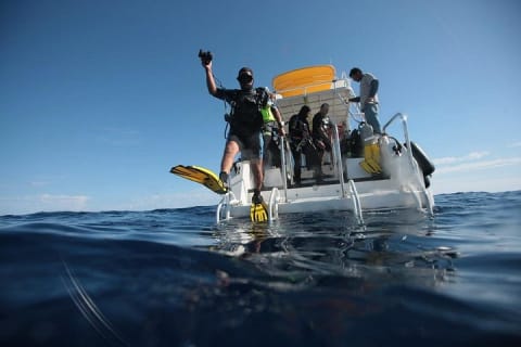 2-Tank Scuba Dive in Cabo San Lucas Reserve for Certified Divers — photo 11