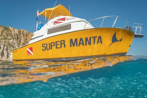 2-Tank Scuba Dive in Cabo San Lucas Reserve for Certified Divers — photo 3