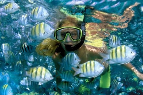 Aquatic Paradise in Tulum: Snorkel Yalku, Swim Cenote & Kaan Luum — photo 9