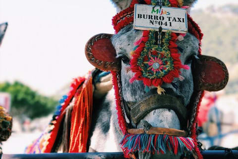 Xcaret to Tulum - Private Transfer with Optional Sightseeing — photo 6