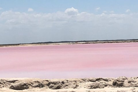Colonial City of Valladolid, Pink Waters of Las Coloradas and Pink Flamingos — photo 8