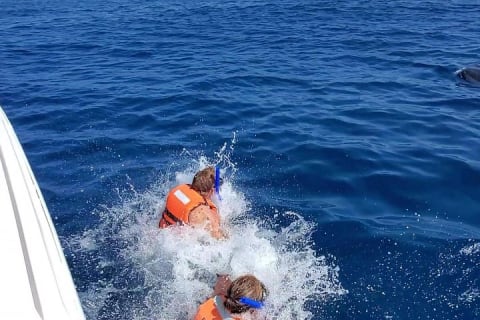 Aventura con tiburón ballena en Isla Mujeres y Cancún — photo 4