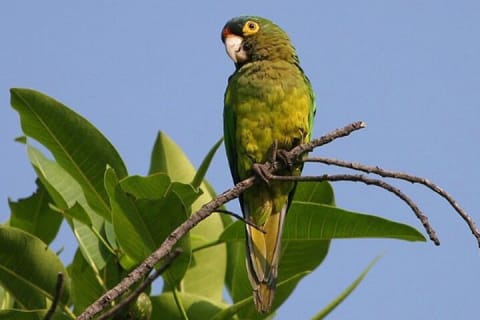 Observation des oiseaux et expérience chocolat dans la Sierra Vallejo — photo 10