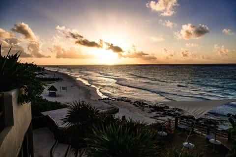 Xcaret to Tulum - Private Transfer with Optional Sightseeing — photo 15