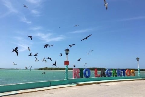 Tour to Las Coloradas Pink Waters and Boat Ride in Rio Lagartos with Lunch. — photo 4