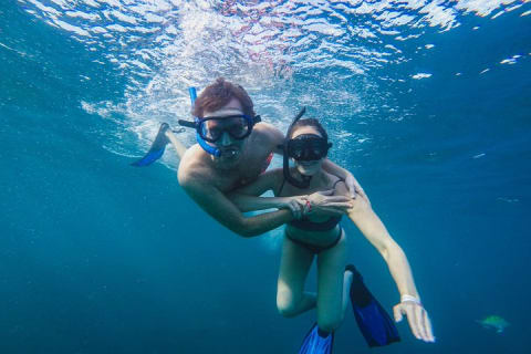 Cabo Half-Day Snorkel Adventure with Lunch and Open Bar — photo 10
