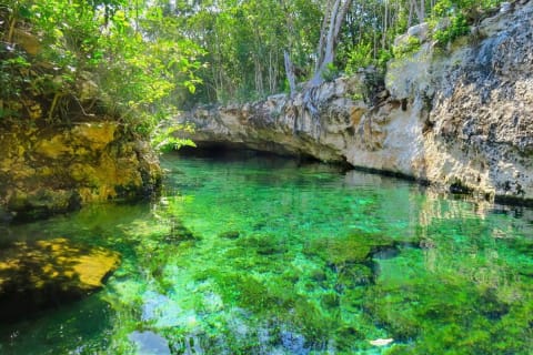 Mayan Cenotes Experience with Mayan Ruins or Local Community — photo 4