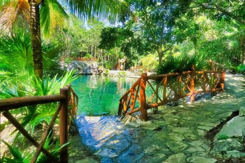 Mayan Cenotes Experience with Mayan Ruins or Local Community — photo 8