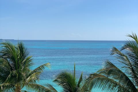 Private Transfer From Tulum to Cancun With a 2 Hour Stop — photo 8