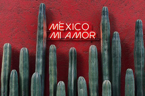 Private Transfer From Merida to Uxmal, English Speaking Driver — photo 5