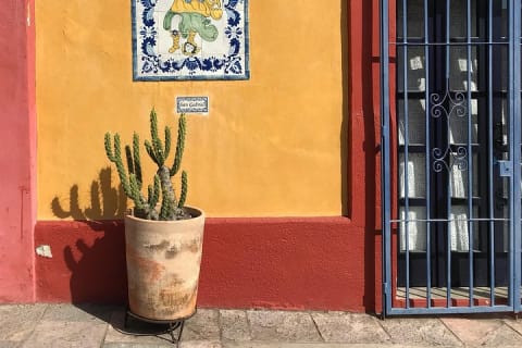 Private Transfer From Merida to Uxmal, English Speaking Driver — photo 6