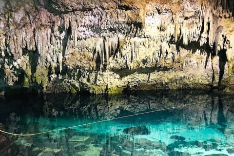 Extreme Adventure in Cobá (ATVs + Zip Lines + Cenote + Buffet) — photo 8
