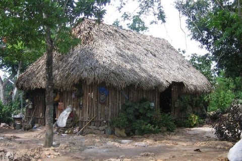 Extreme Adventure in Cobá (ATVs + Zip Lines + Cenote + Buffet) — photo 14