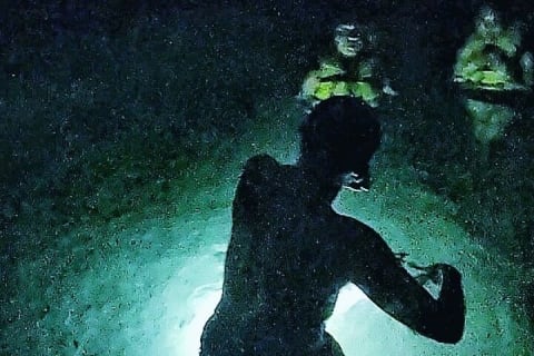 Tulum Jungle Combo: Turtles, ATV, Ziplines & Cenote Full-Day — photo 14