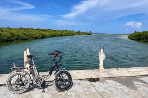 Tulum Area Experiences E-Bike Daily Rental — photo 7