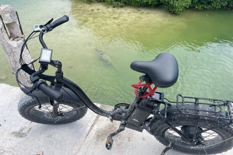 Tulum Area Experiences E-Bike Daily Rental — photo 9