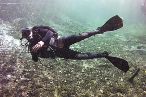 Tulum Area Experiences "Try" Scuba Diving Casa Cenote - Snacks - No experience — photo 6
