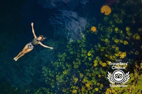 Tour guiado de 4 cenotes en 1 con desayuno, comida y vino — photo 10