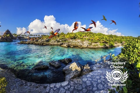 Xcaret Park Day Trip, transportation and Cultural Night Show — photo 12