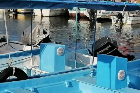 Recreational Fishing Tour by Boat — photo 8