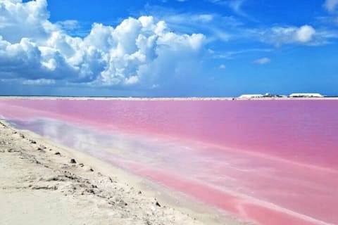 Magical Tour Las Coloradas Natural Pink Lagoon from Riviera Maya — photo 11