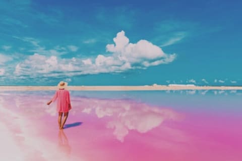 Magical Tour Las Coloradas Natural Pink Lagoon from Riviera Maya — photo 12