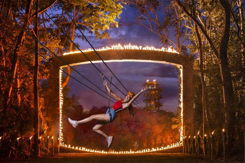 Xplor Fuego with Buffet Style Dinner and transportation — photo 9