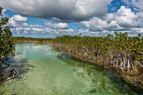 Sian Ka'an Biosphere the best nature experience with Transportation from Tulum — photo 11