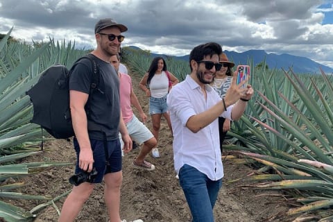 El viaje del mezcal — photo 2