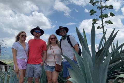 El viaje del mezcal — photo 6