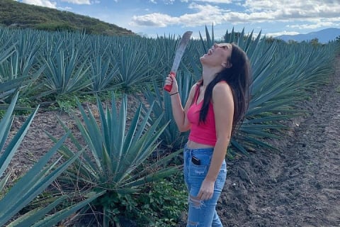 El viaje del mezcal — photo 5