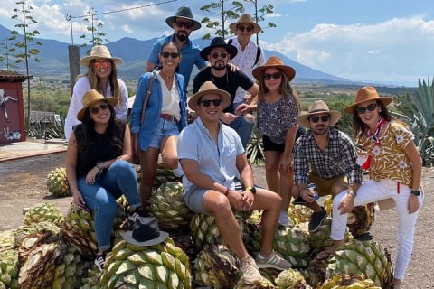 El viaje del mezcal — photo 4